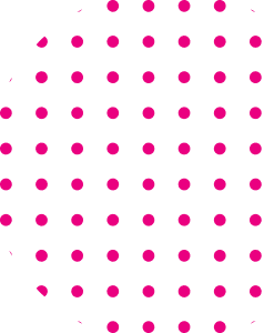 Ornament 77