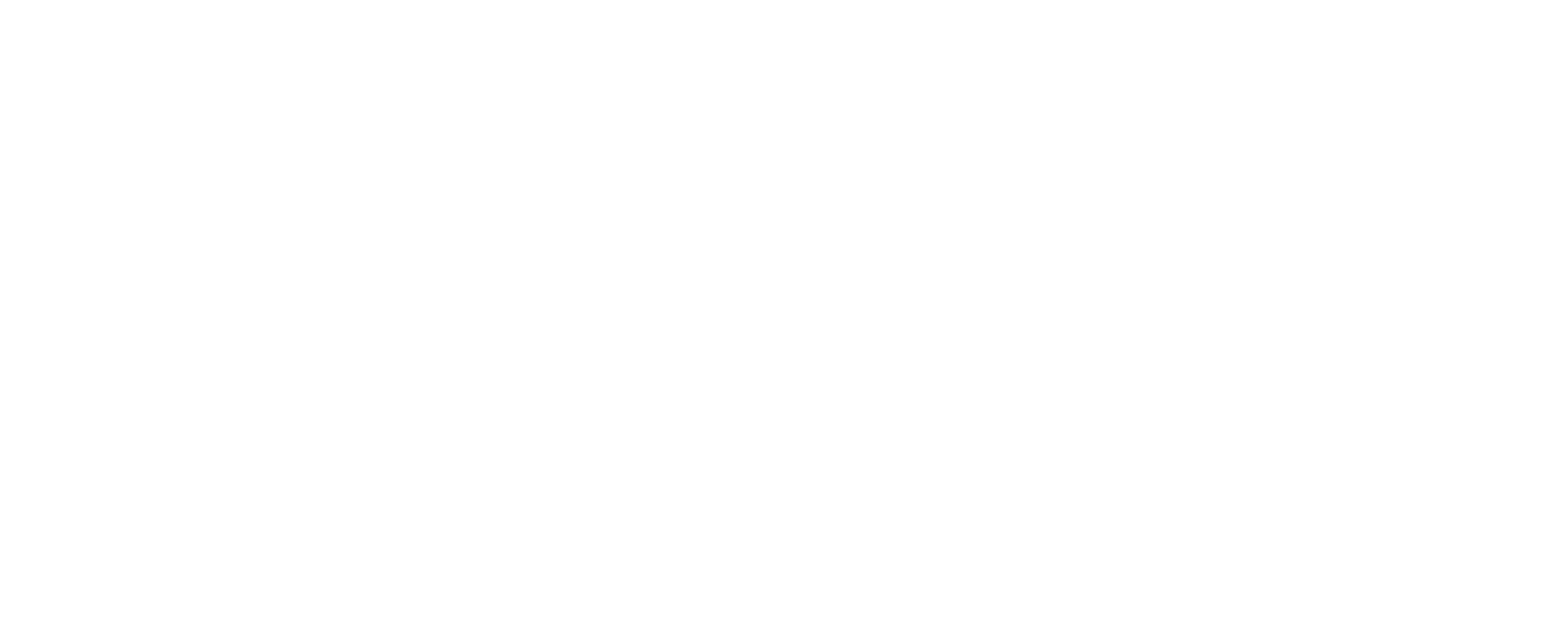 hubble logo_white